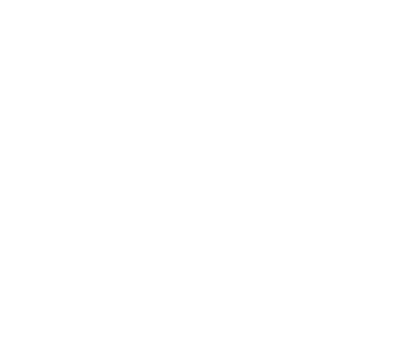 Bluesky Logo